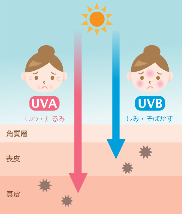 紫外線UVA・UVBイメージ