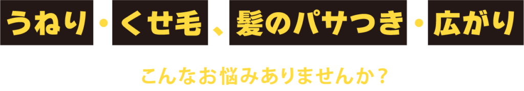 「うねり・くせ毛、髪のパサつき・広がり」こんなお悩みありませんか？