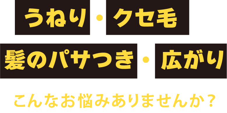 「うねり・くせ毛、髪のパサつき・広がり」こんなお悩みありませんか？